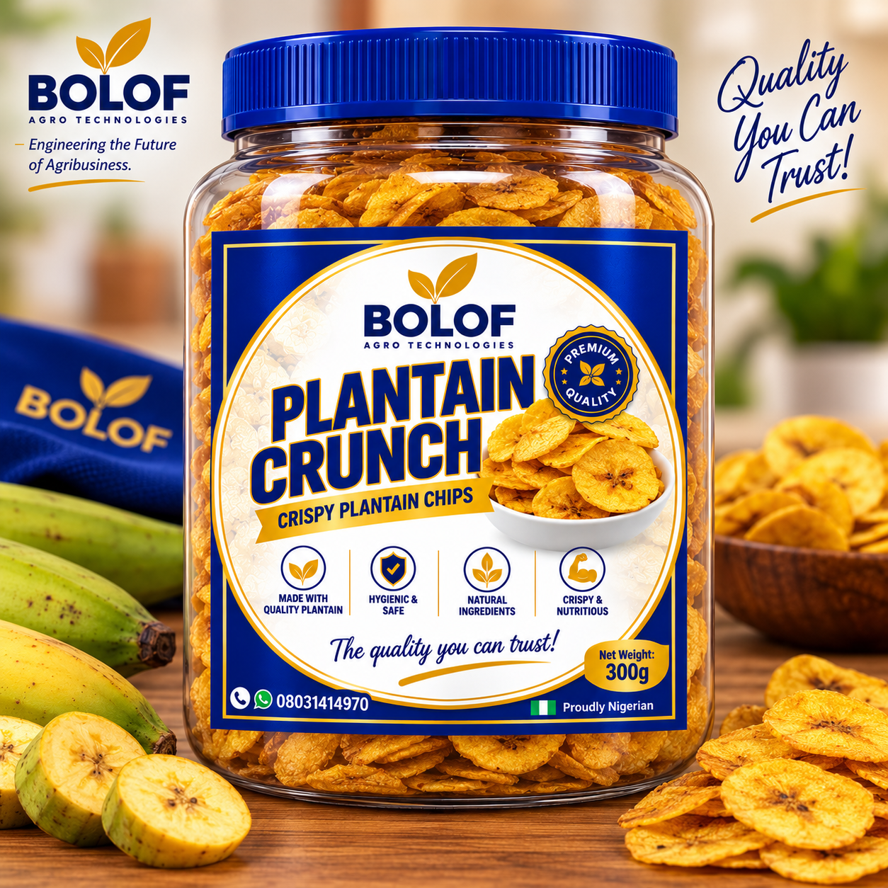 Packaging design for BOLOF Plantain Crunch.